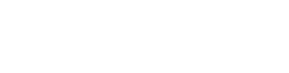 WVDSW-Logo-Tekst-Wit